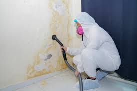  Kendall West, FL Mold Removal & Remediation Pros